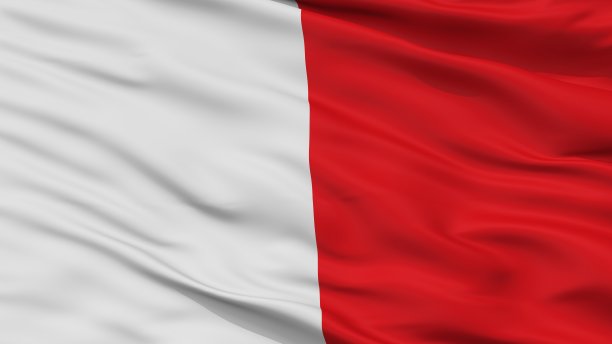 博蒙特市旗，比利时，特写视图图片下载