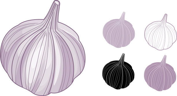 一组大蒜灯泡在白色的背景图片下载