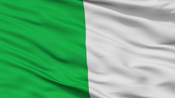 Soignies城市旗，比利时，特写视图图片下载