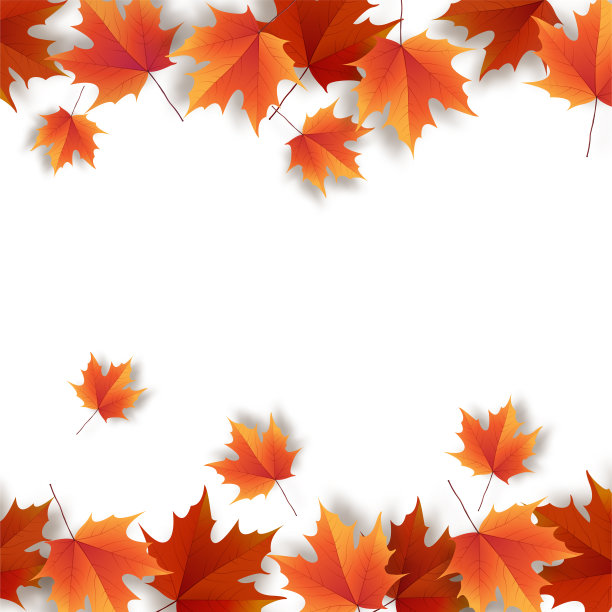 秋叶之静美。秋天的橡树叶色彩鲜艳。的模板图片下载