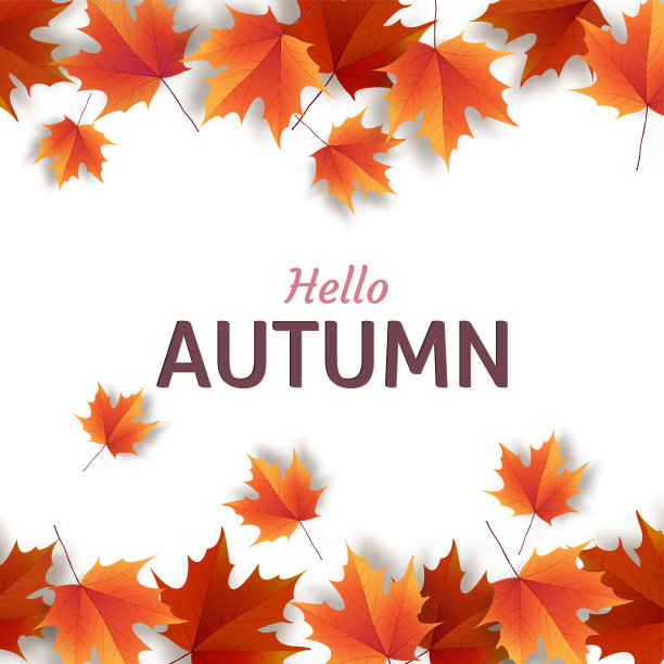 秋叶之静美。秋天的橡树叶色彩鲜艳。的模板图片下载