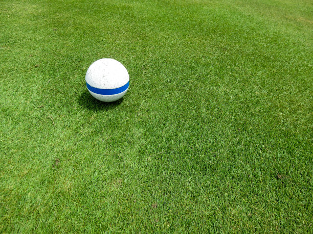 高尔夫球场的蓝色球座标记图片下载