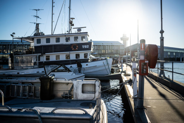 在霍巴特港的船只图片下载
