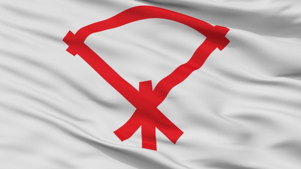 出光野市旗，日本，大阪府，近景图片下载