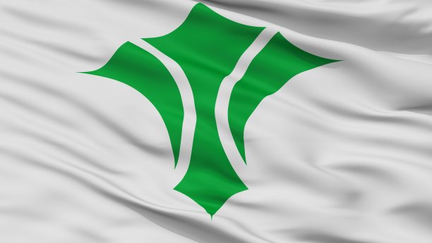 泉市旗，日本，大阪府，近景图片下载