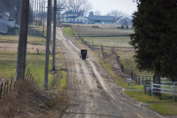远处土路上的阿米什童车图片下载