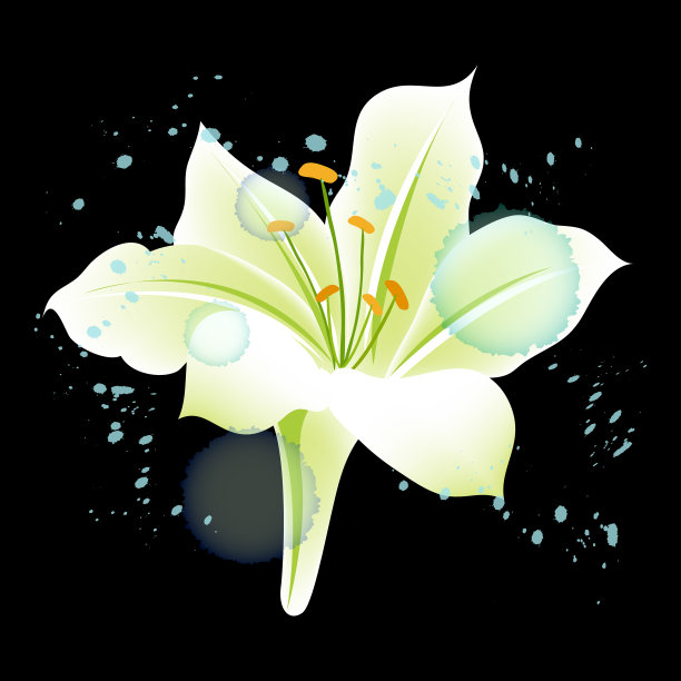 黑色背景上的花。图片下载