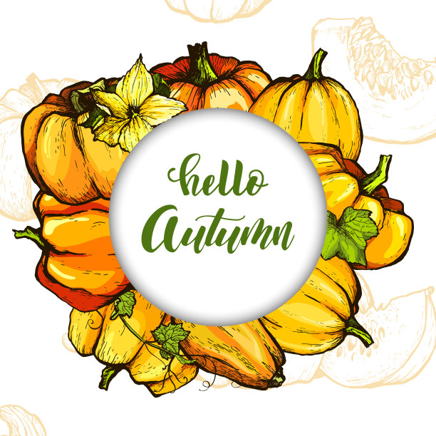 彩色南瓜矢量手绘插图。农业市场的产品。图片下载