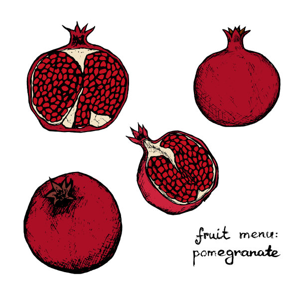 水果菜单-石榴-颜色手绘对象图片下载