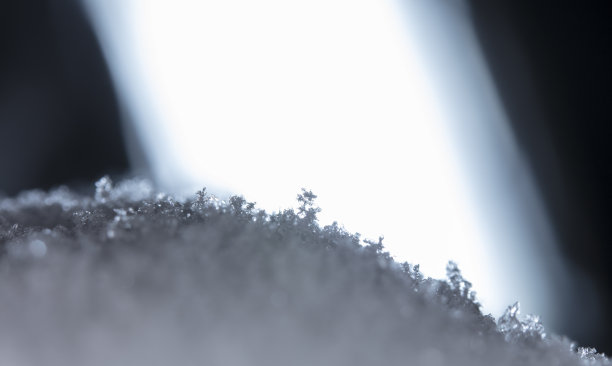 雪、冰的结晶图片下载