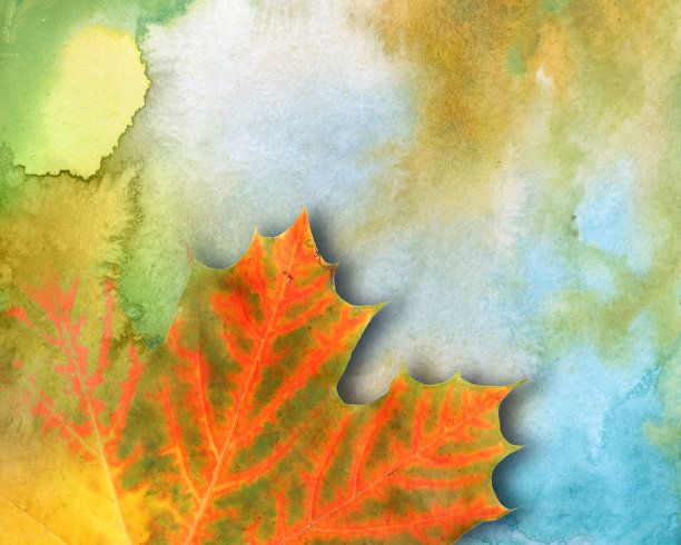 秋天的艺术背景图片下载