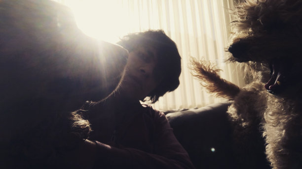 狗早上图片下载