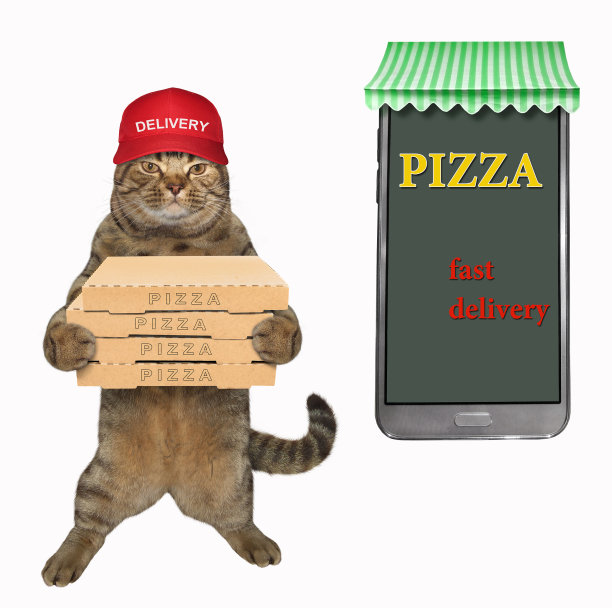 猫拿着披萨在一个大电话旁边图片下载