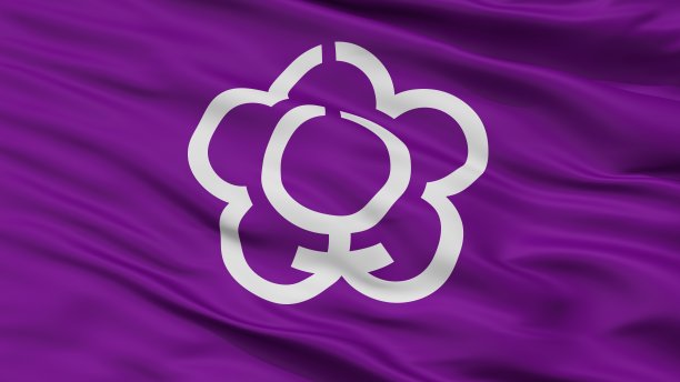 天里市旗，日本，奈良县，特写视图图片下载