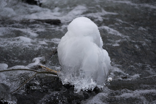 艾西格标签是流感图片下载