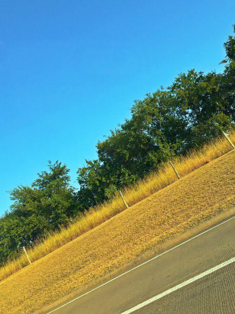 大自然的配色方案图片下载