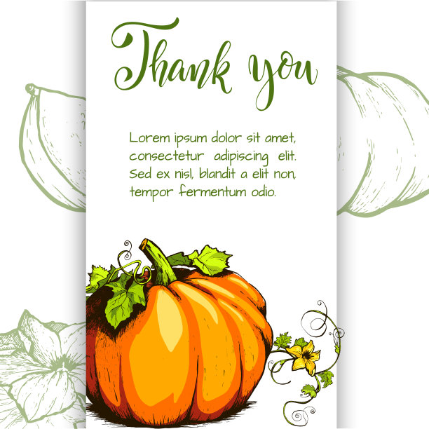 彩色南瓜矢量手绘插图。农业市场的产品。图片下载