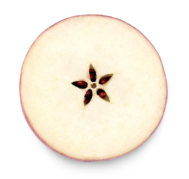 苹果的部分或部分图片下载