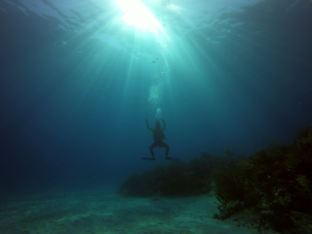 夏天在水下图片下载