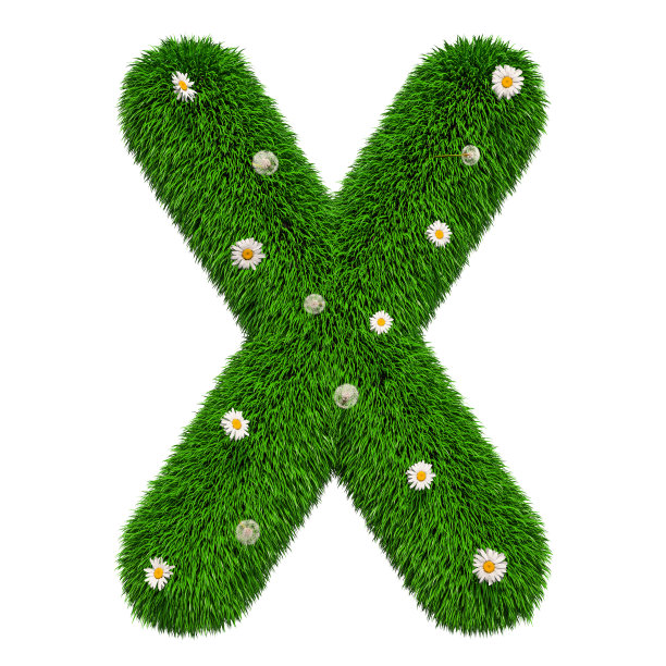 字母X从绿色的草与花，3D渲染孤立在白色背景图片下载