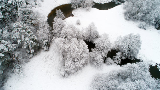 冬天的本性。下雪的天气。图片下载