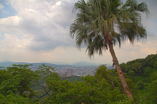 广州全景图片下载