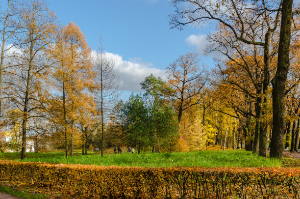 公园里的秋景图片下载