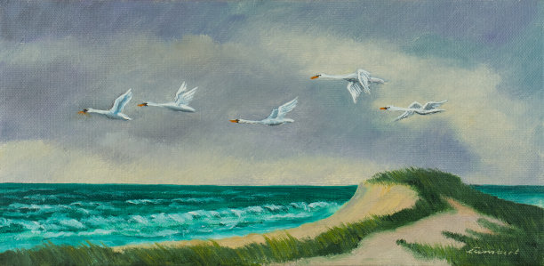 四只候鸟在海面上方的海岸上飞翔图片下载