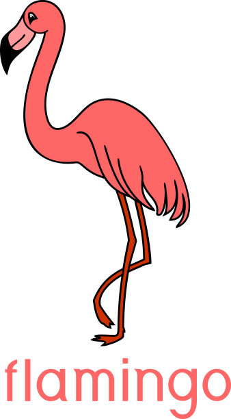 白色背景上带有标题的粉红色火烈鸟图片下载