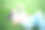 年轻女子在自然公园里放松。夏天在花园里度假。图片下载