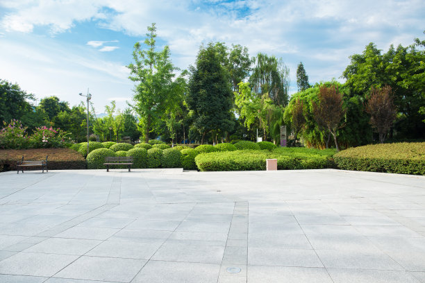 宽阔无人的城市公园和阳光明媚的夏天郁郁葱葱的树林图片下载