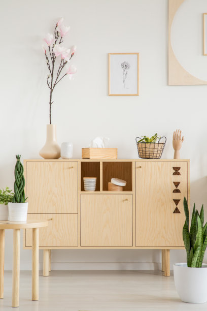 客厅内的一面墙上挂着一朵花和一个小图形的简单橱柜。真实的照片图片下载