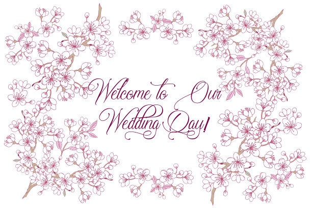 春天的樱花和木兰背景图片下载