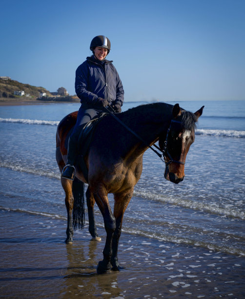 海边的马图片下载