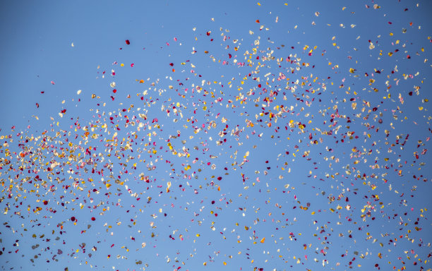 holambra花瓣雨传统图片下载