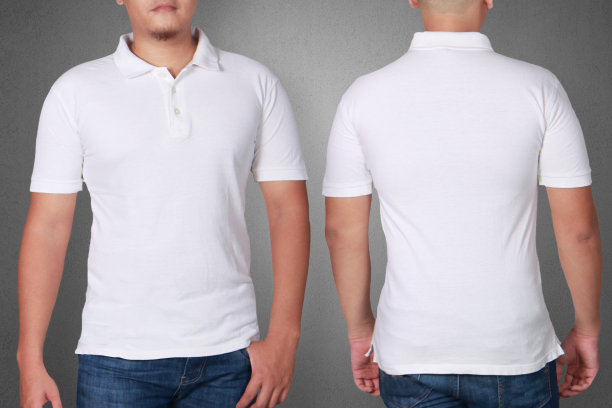 马球衬衫模板模拟图片下载