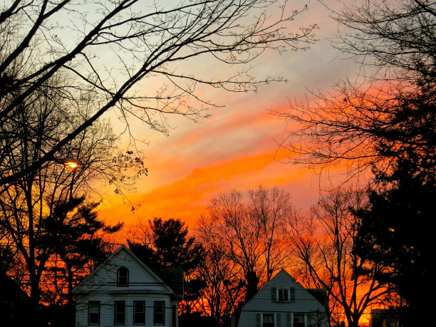 房屋和树木上的彩色日落图片下载