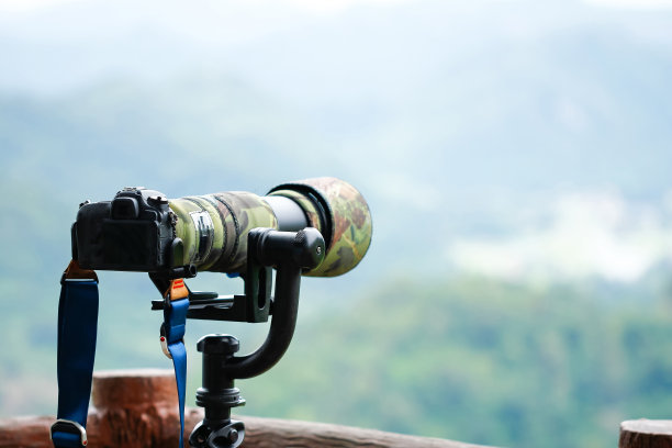 设置在三脚架上的相机拍摄动物在风空间的文字图片下载