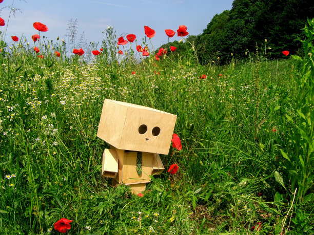 纸板小人的夏日冒险图片下载