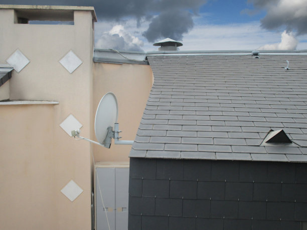 一个建筑的石板屋顶在île-France烟囱图片下载