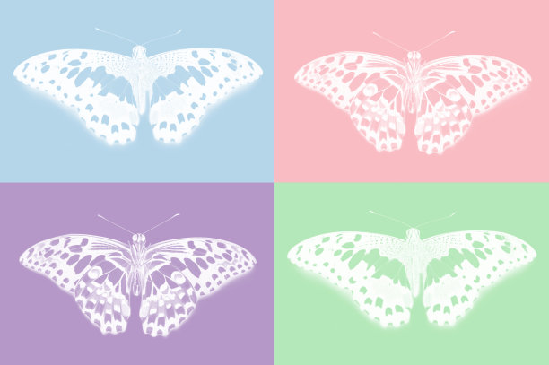 顶部和底部的观点，石灰蝴蝶，凤蝶脱臼图片下载