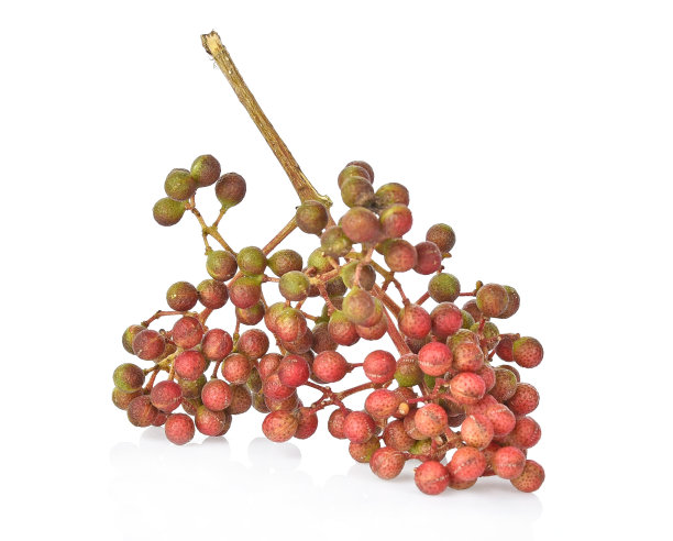 白色背景上的花椒柠檬草图片下载