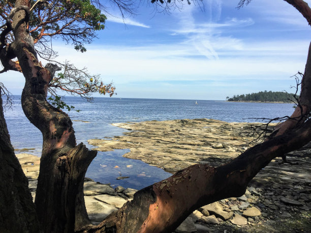 从加拿大不列颠哥伦比亚省海湾群岛的小拖船岛的海岸，格鲁吉亚海峡和太平洋的美丽景色。在一个美丽的夏日，小船驶过。图片下载