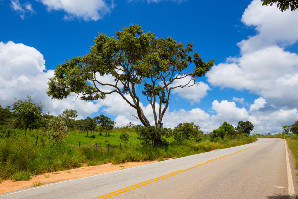 空旷的道路和美丽的风景在巴西周围图片下载