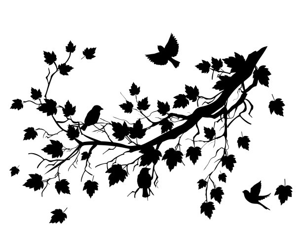 可爱的麻雀和树枝图片下载