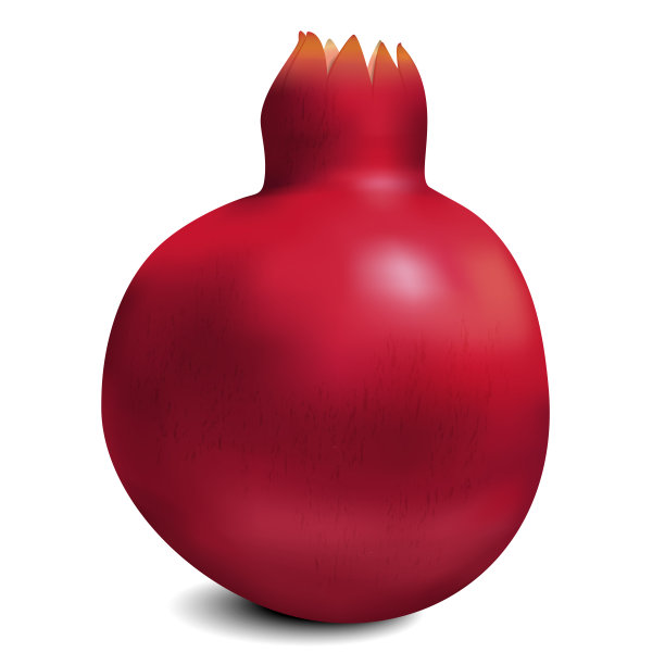 石榴。孤立在白色的。矢量插图。图片下载