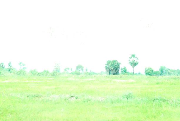 以泰国美丽的树木和田野景观为背景的水彩插画。图片下载