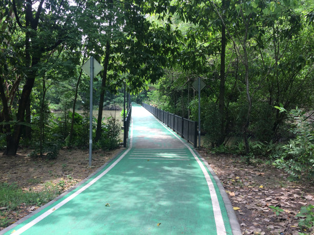 公园/户外图片下载