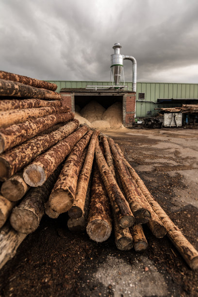 专业机械在一个松树树干锯木厂图片下载