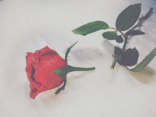 一个失落的王国!图片下载